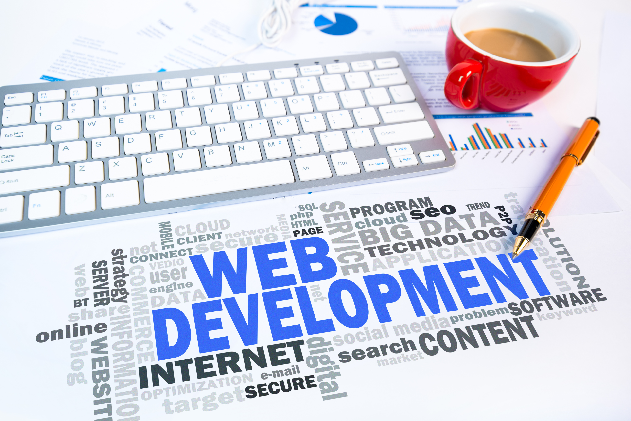 Web Development Company in Betul
